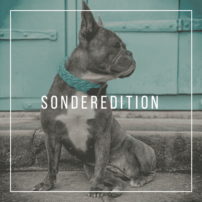 4UniqueDogs.com Sonderedition