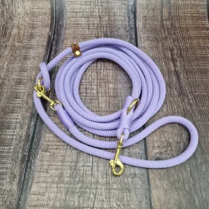 4UniqueDogs_Chihuahua_Führleine_Bright_Lila_Gold